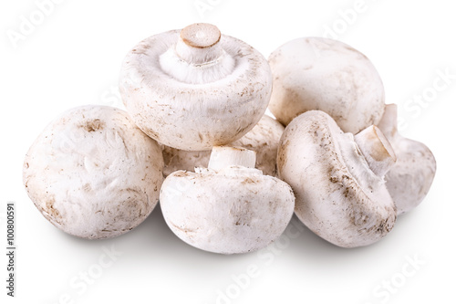 mushroom champignons