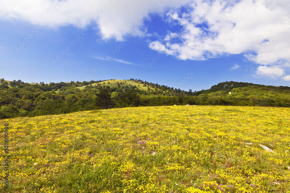 Crimean rural landscape on a Sunny summer day Crimean rural landscape on a Sunny summer day
