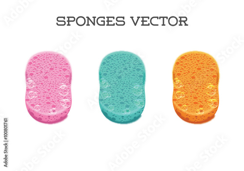 Vector sponge set for cleaning photo