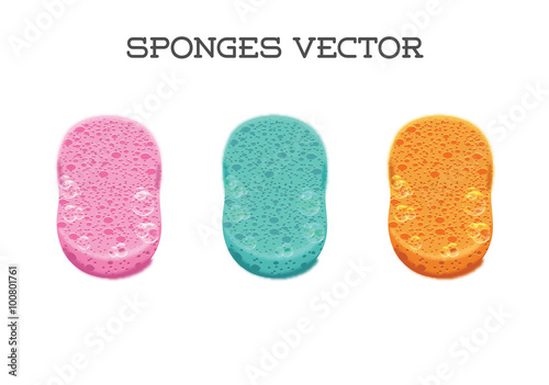 Vector sponge set for cleaning