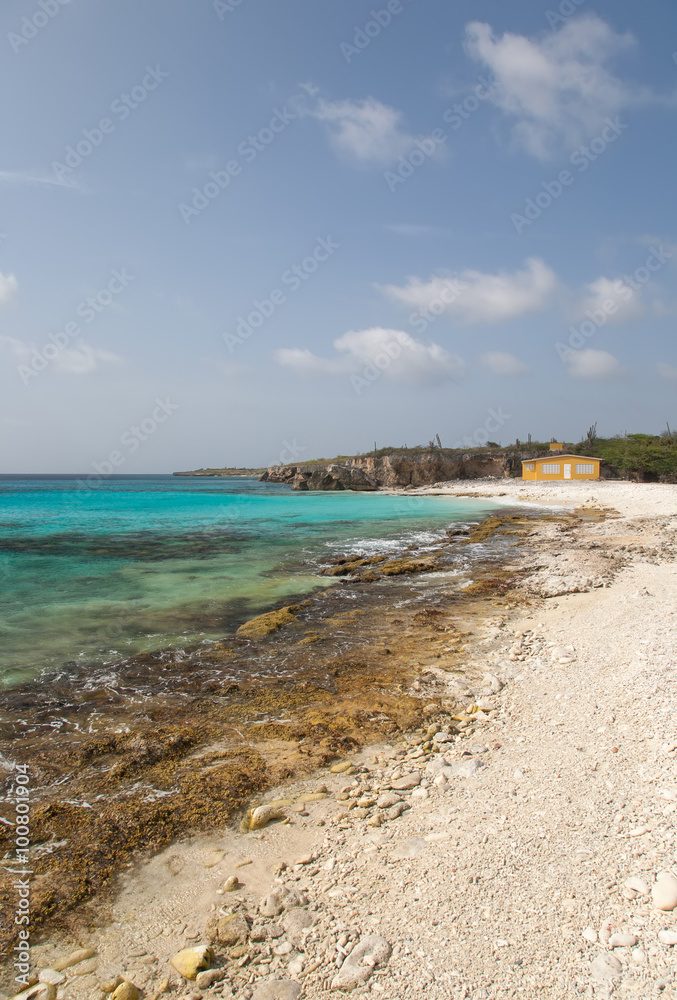 Fototapeta premium caribbean beach Bonaire island