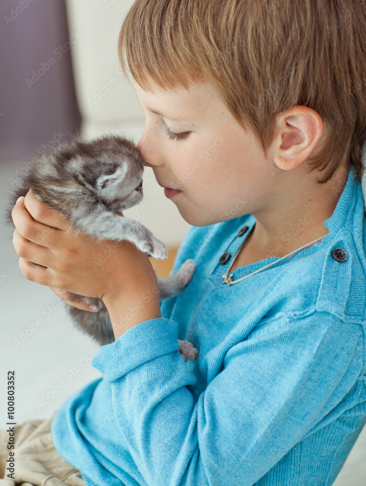 Happy kid are playing with kitten Happy kid are playing with kitten