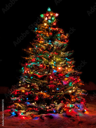Snow Covered Christmas Tree with Multi Colored Lights
