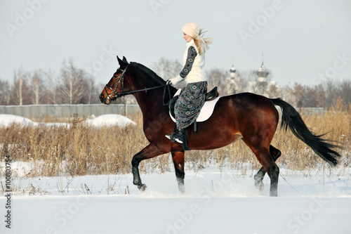 Equestrian riding horse on a field in winter, in the background a winter countryside
