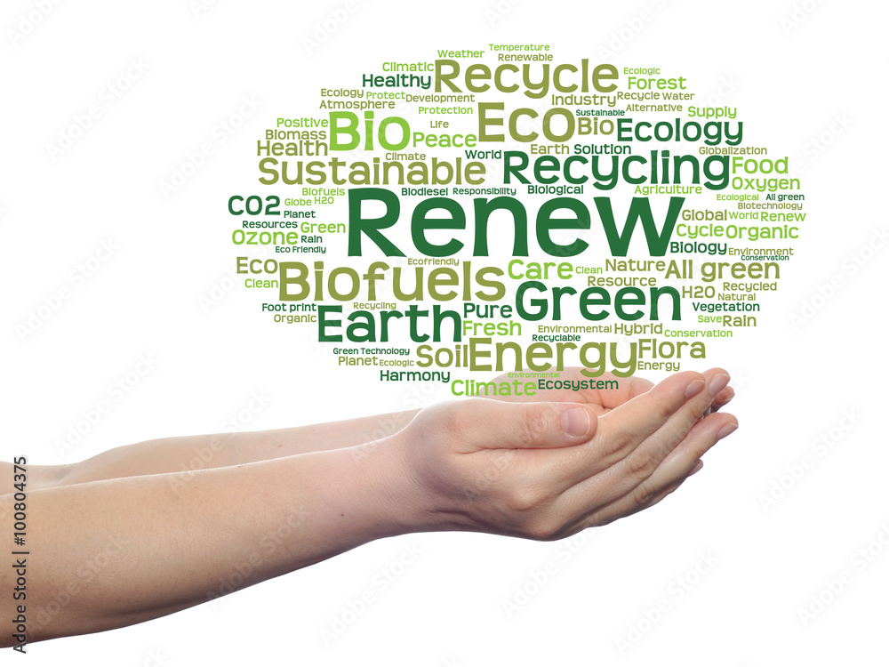 Conceptual ecology word cloud isolated Conceptual ecology word cloud isolated