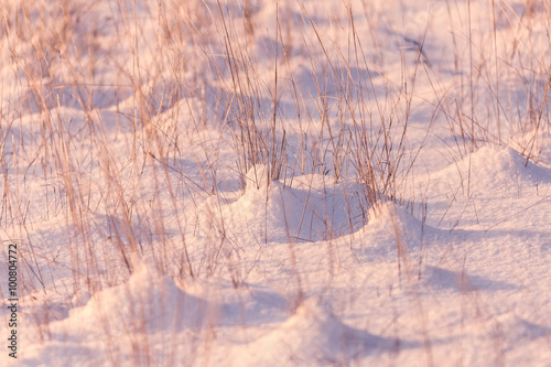 Snowy meadow