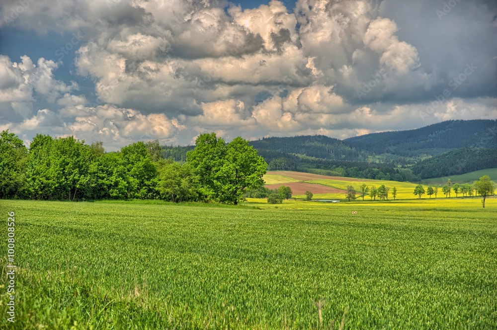 Polish Countryside wih green grass and dramatic sky