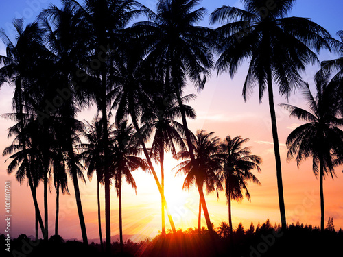 silhouette of coconut palm trees on colorful sun set
