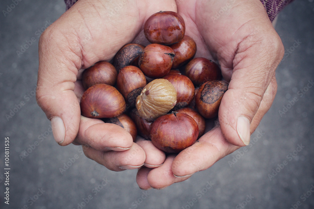 Chestnuts on hands Chestnuts on hands
