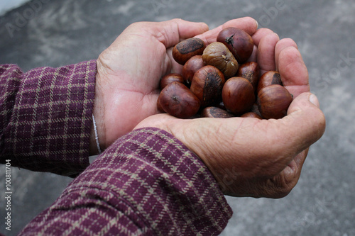 Chestnuts on hands