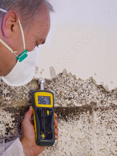 Pest controler gauges a mold infestation