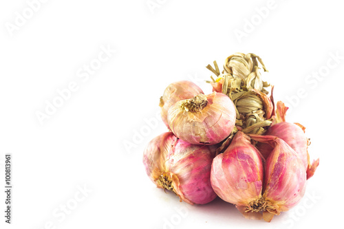 onions on white