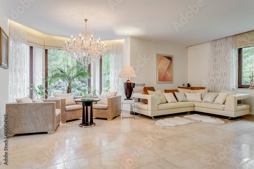 Fotografia Showy and spacious living room