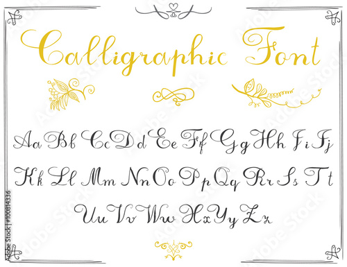Alphabet letters, hand drawn calligraphy font. Vector alphabet. Hand written letters of the alphabet and decoration elements isolated on white background