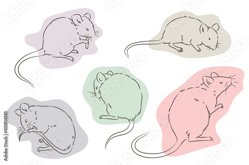 Stock illustration. Outline of the mouse in a different position