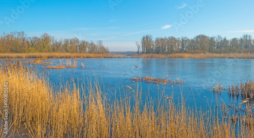 The shore of a frozen lake in sunlight 