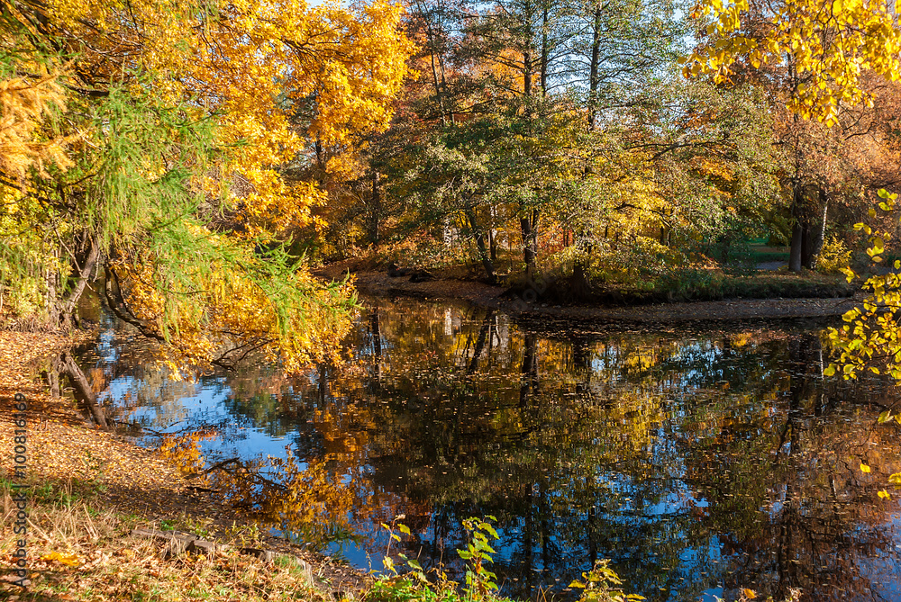 Pond in the autumn park with trees reflected in it

