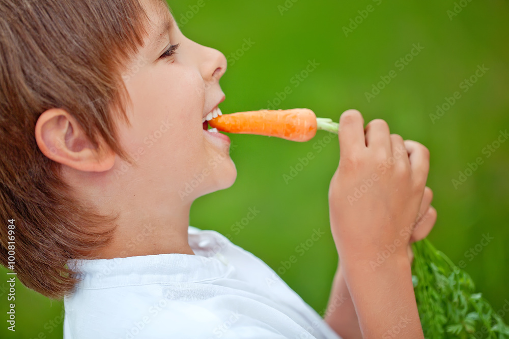 kid eating a carrot on the grass kid eating a carrot on the grass