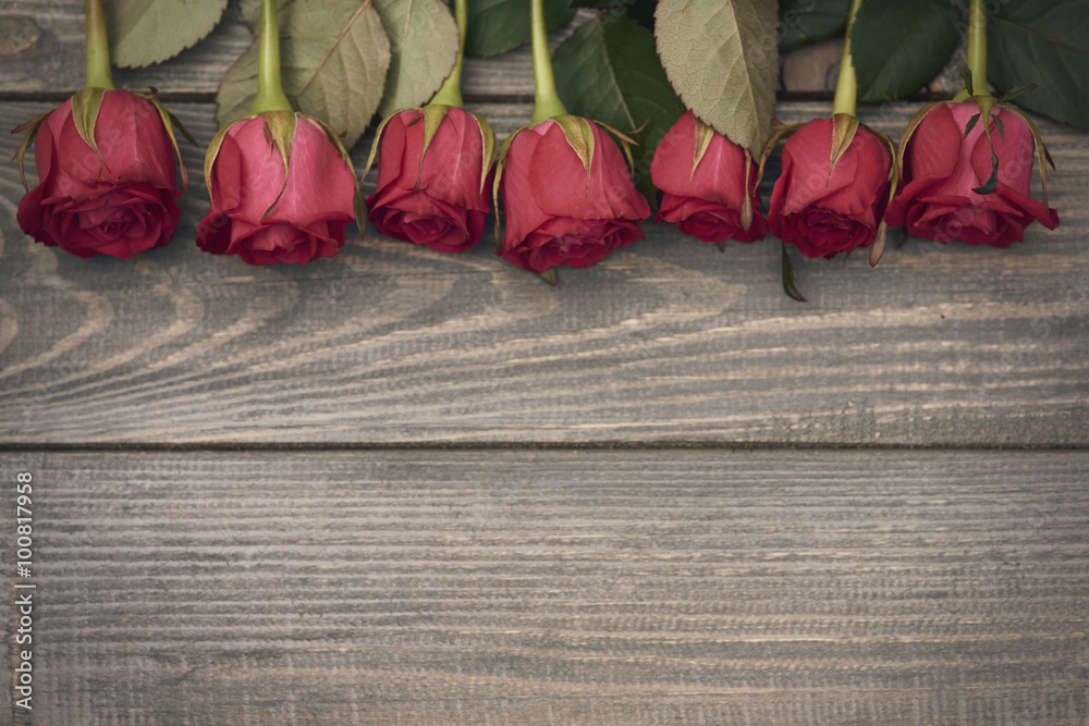 Frame of beautiful red roses - obrazy, fototapety, plakaty 