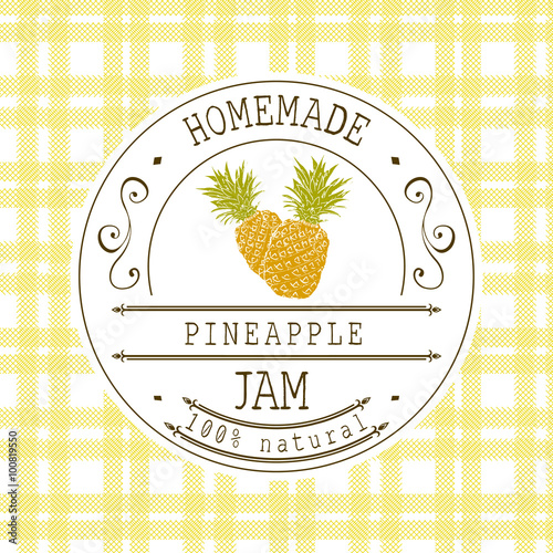 Jam label design template. for pineapple dessert product with hand drawn sketched fruit and background. Doodle vector pineapple illustration brand identity