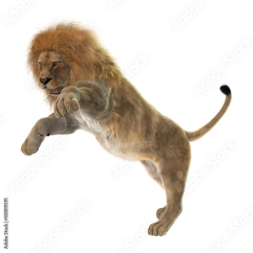 Fototapeta Naklejka Na Ścianę i Meble -  Male Lion on White