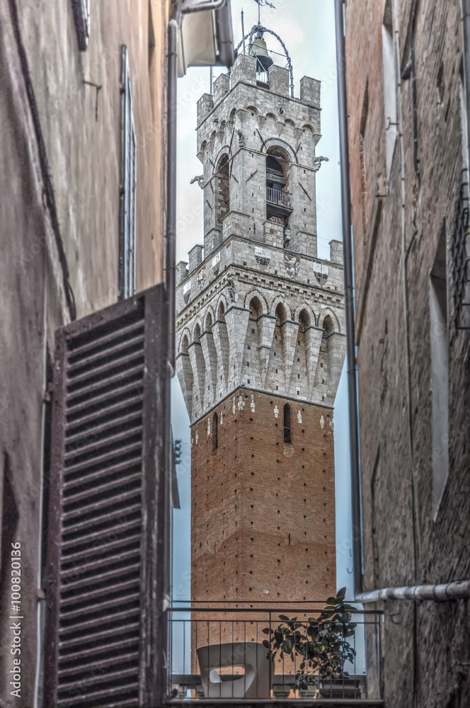 view of Torre del Mangia