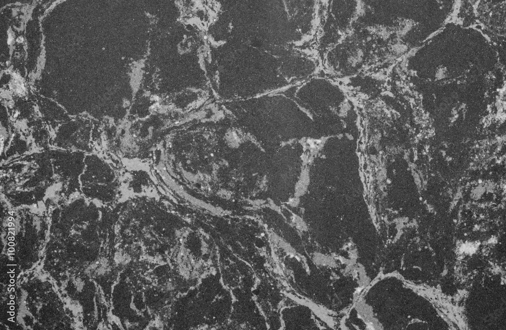 Closeup surface marble wall texture background in black and white tone