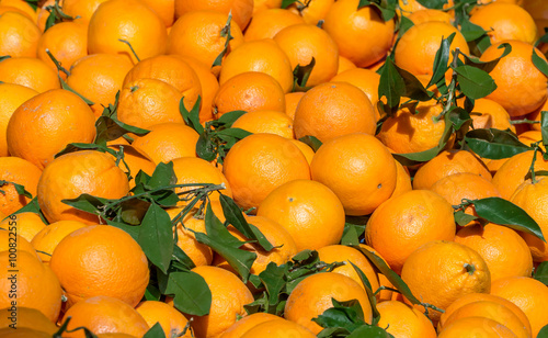 oranges!Very sweet and tasty citrus