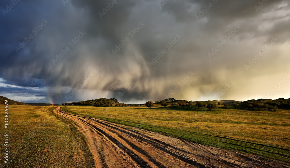Fototapeta premium stormy day on field in spring
