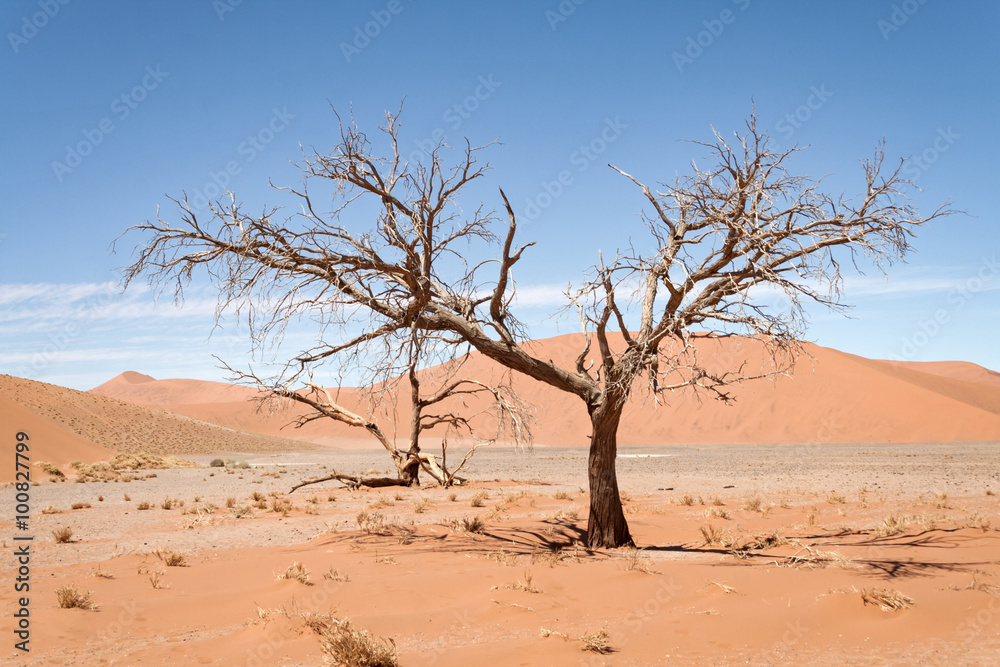 Red dune in Sossusvlei left the road, Namibia Red dune in Sossusvlei left the road, Namibia