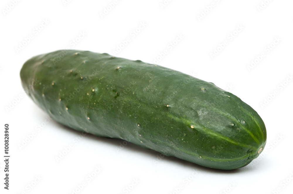 gros cornichon sur fond vblanc gros cornichon sur fond vblanc