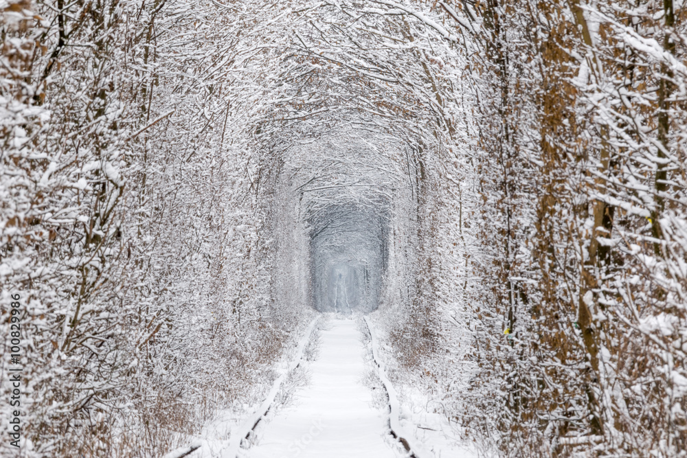 Fototapeta premium Klevan's tunnel of love after heavy snowfall in winter.