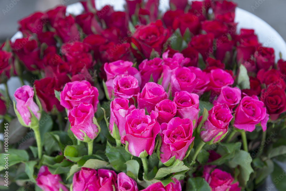 rose and red rose in bucket at flower shop rose and red rose in bucket at flower shop