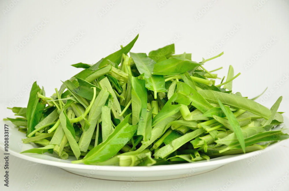 water spinach isolated on white background water spinach isolated on white background