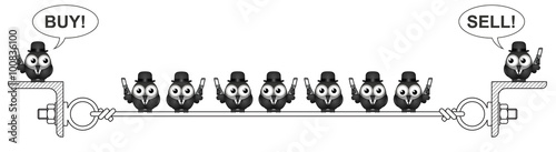 City trader birds perching on a steel wire 