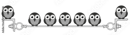 Flock of birds roosting on a steel wire 