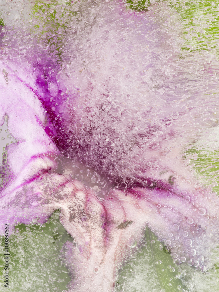 Fototapeta premium beautiful abstraction with pink delicate flower