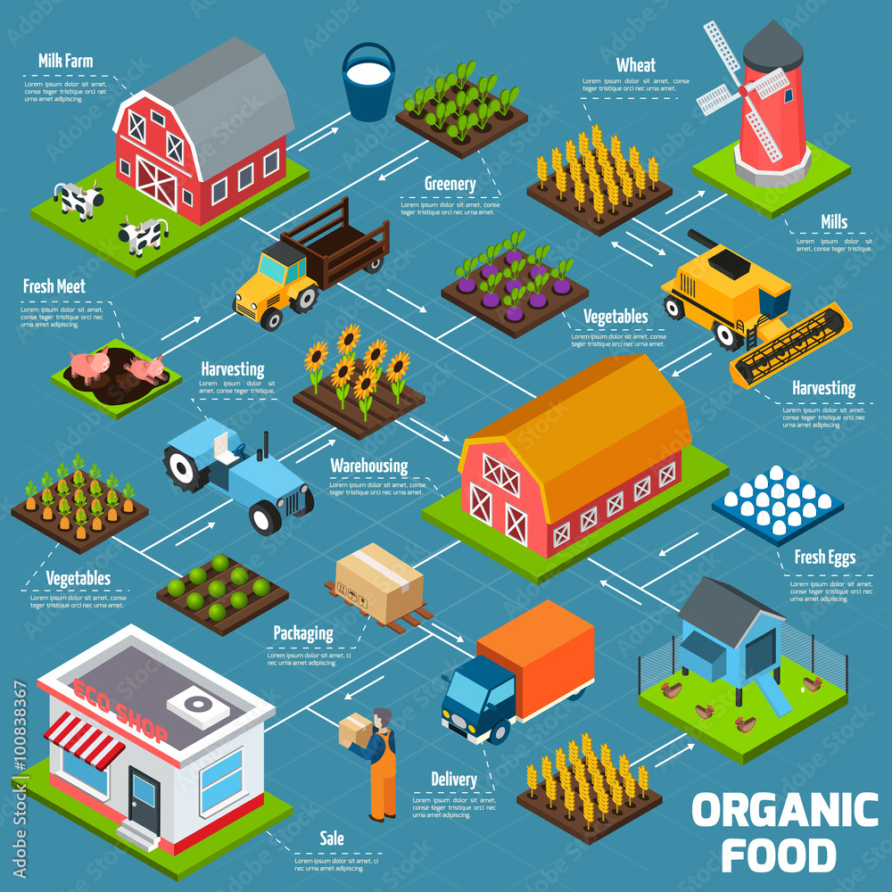 Organic food isometric flowchart