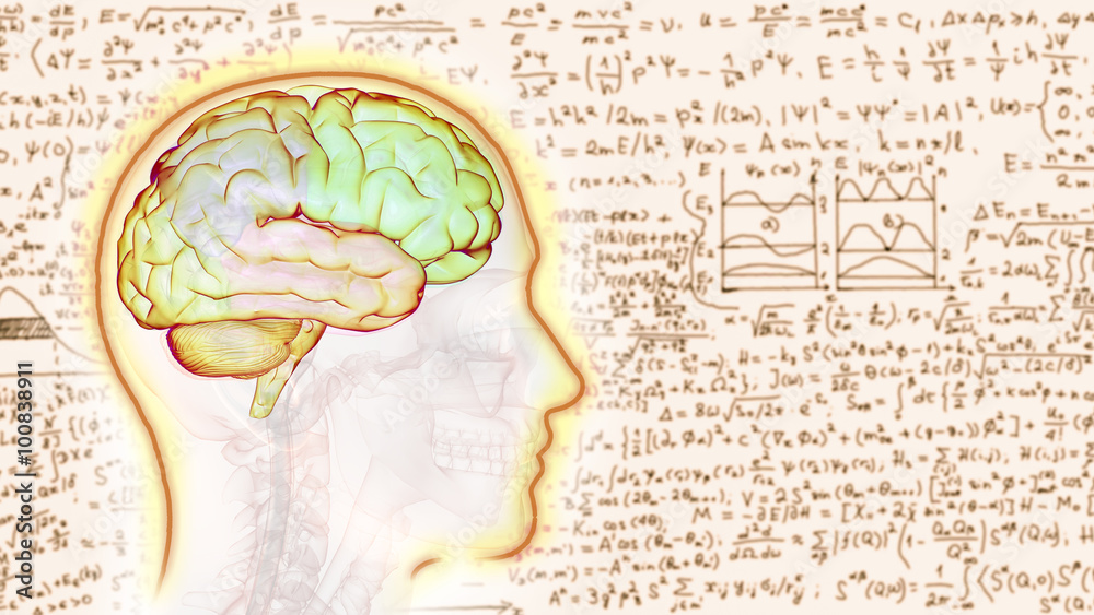Mathematics brain Mathematics brain