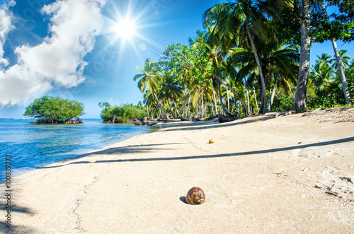 Traumurlaub an einem einsamen Strand in der Karibik :) photo