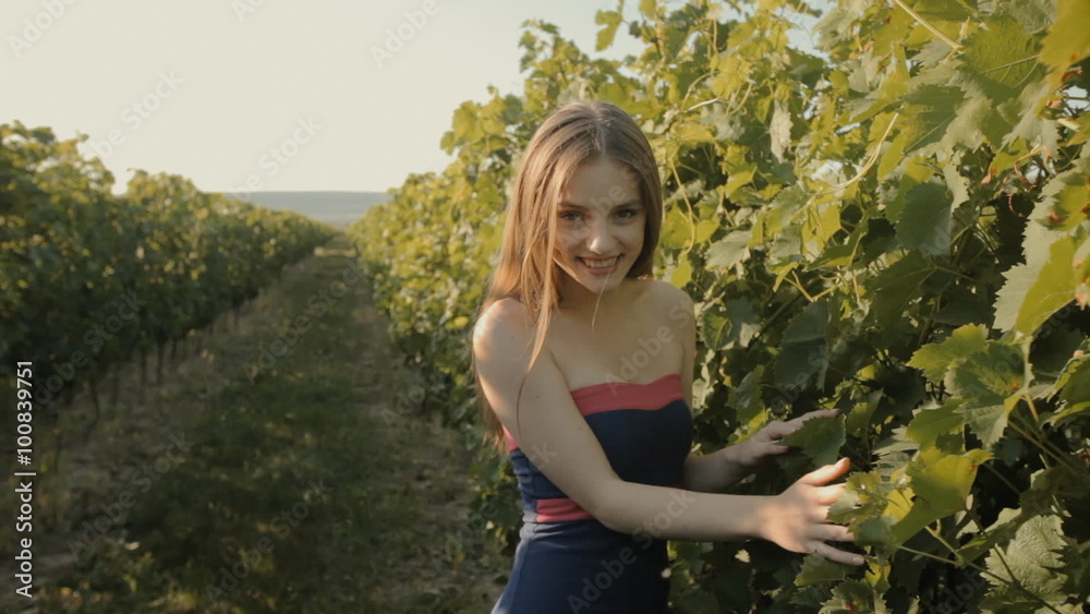 Charming slim girl in a strapless dress walks along the vineyards Charming slim girl in a strapless dress walks along the vineyards