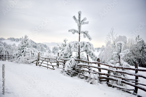 beautiful winter  landscape in Buzau county, Romania © bereta