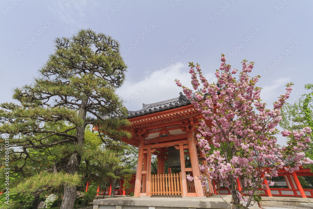 Traditional red temple and cherry tree blossom