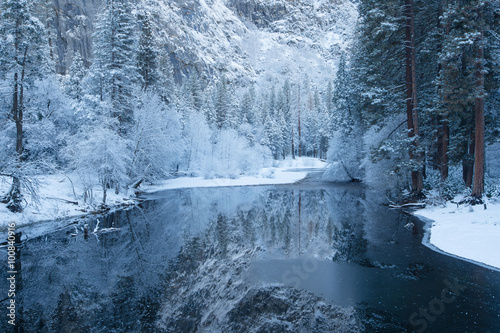 winter reflection of the trees in yosemite national park