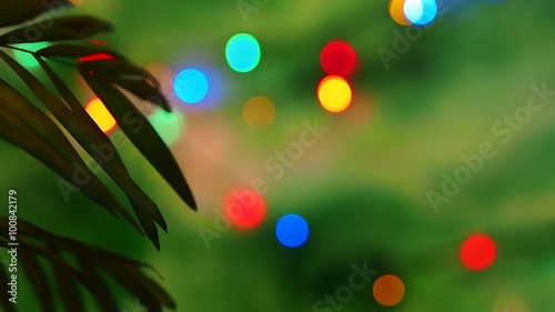 Palm leaf on colorful bokeh abstract background