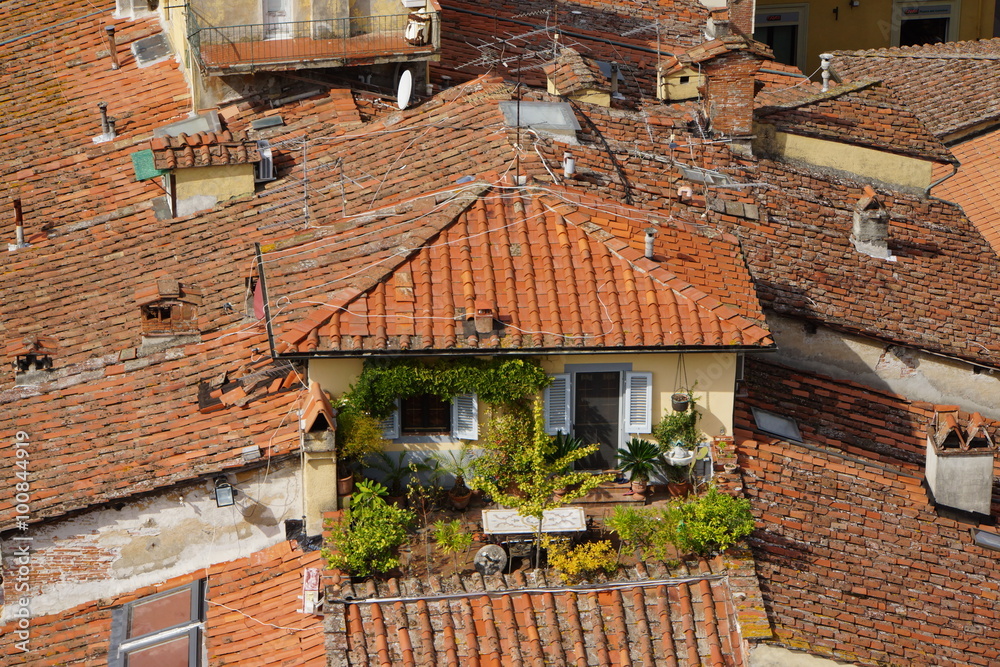 Blick vom Torre Guinigi über Lucca