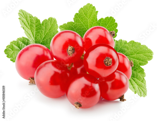 red currants isolated on the white background