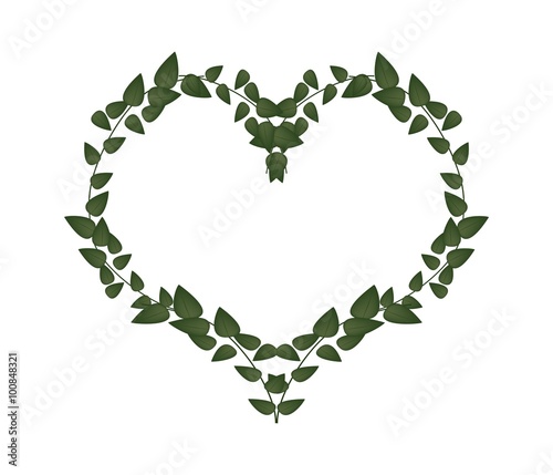 Green Vine Leaves in A Heart Shape