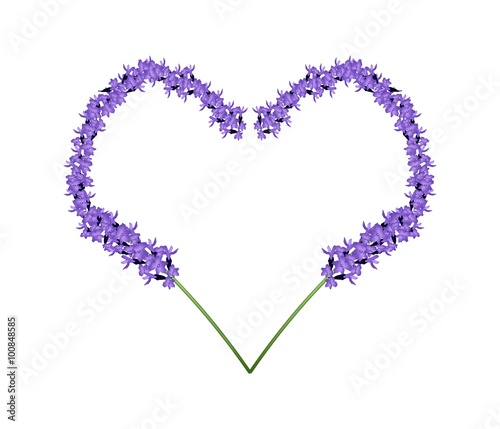 Purple Lavender Flowers in Heart Shape Frame