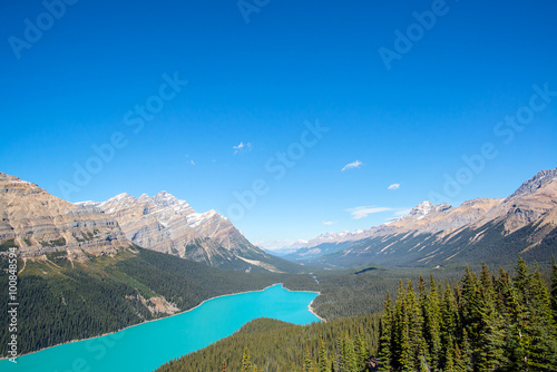 turquoise waters of a lake with a wolf shape in the middle of the forests and peaks of the rocky mountains of alberta canada